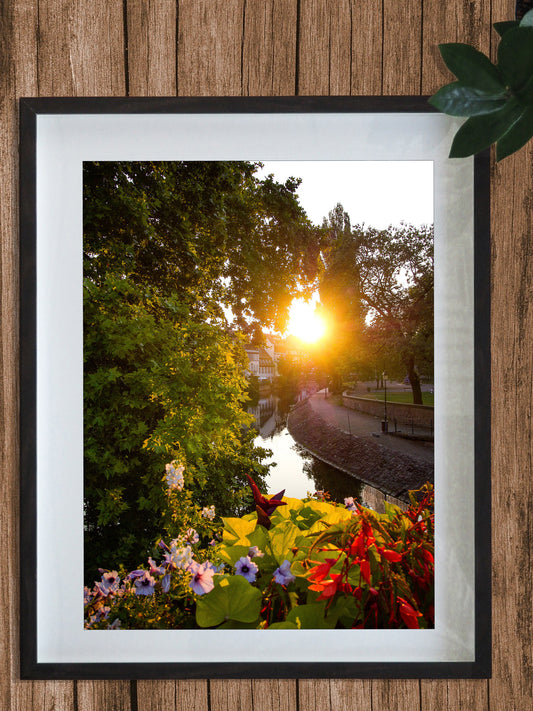Photo Strasbourg Petite France, Fleurs