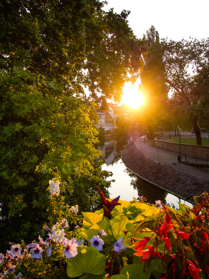 Photo Strasbourg Petite France, Fleurs
